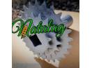 Pinion semanatoare Nodet PN 2